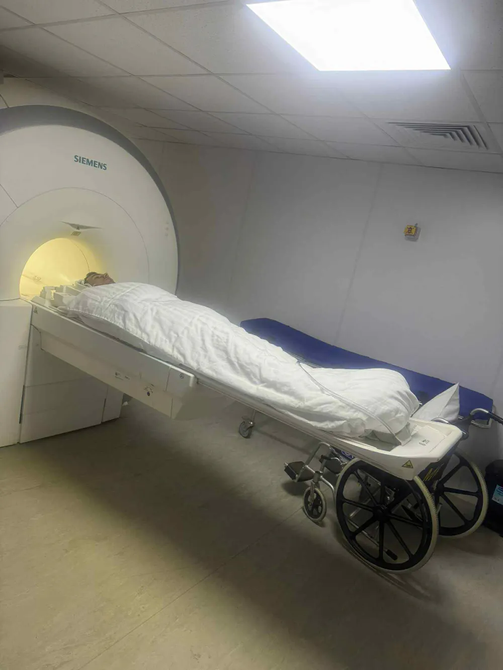 Ο «εισβολέας» των αποστάσεων: Πώς ο Amadeus Clements σε 14 μήνες άλλαξε τα δεδομένα - «Δεν υπάρχει προπονητής που να θέλει περισσότερο από εμένα να γίνω πρωταθλητής με ρεκόρ» - Α΄μέρος runbeat.gr 